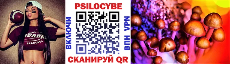 Купить где  Комсомольск-на-Амуре  Галлюциногенные грибы мицелий 